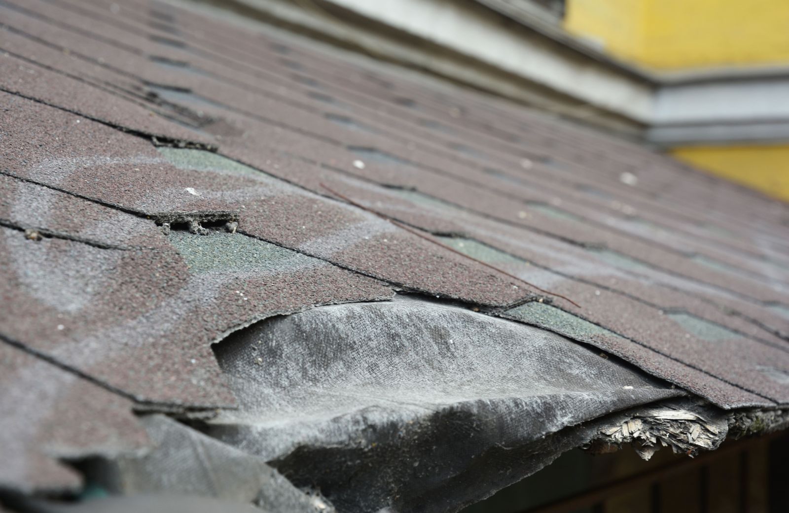 Reliable Exterior Solutions Images