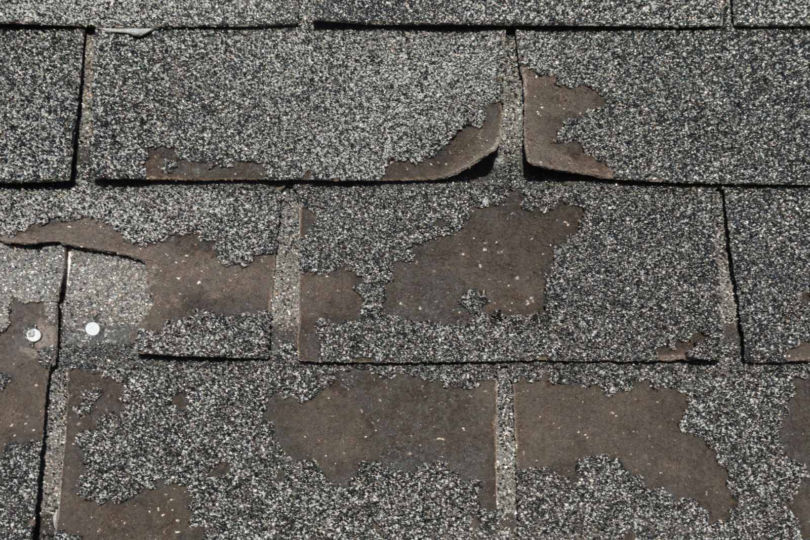 Reliable Exterior Solutions Images